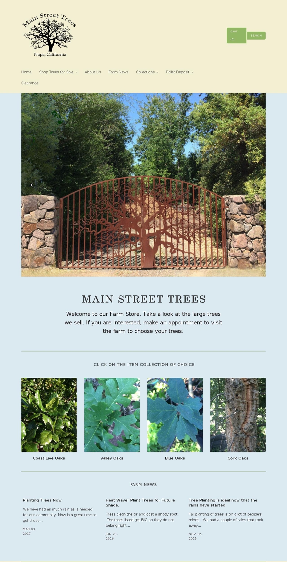 mainstreettrees.com shopify website screenshot