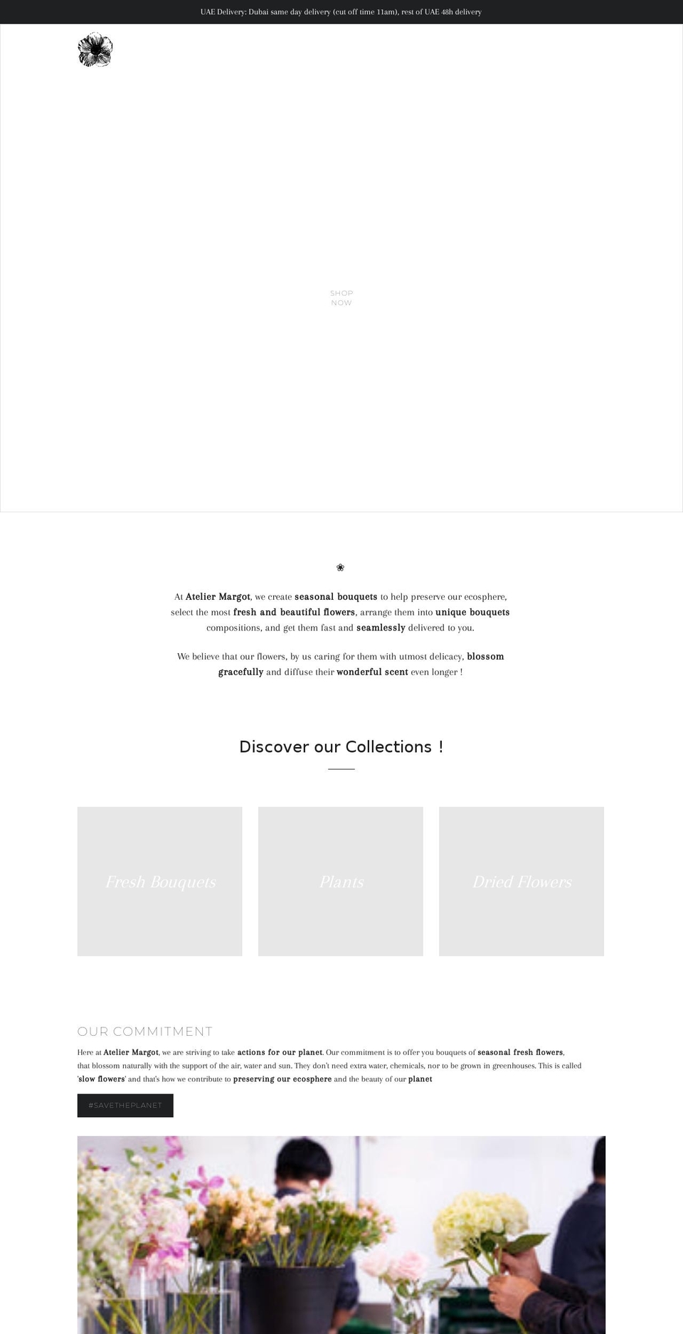 margot.ae shopify website screenshot