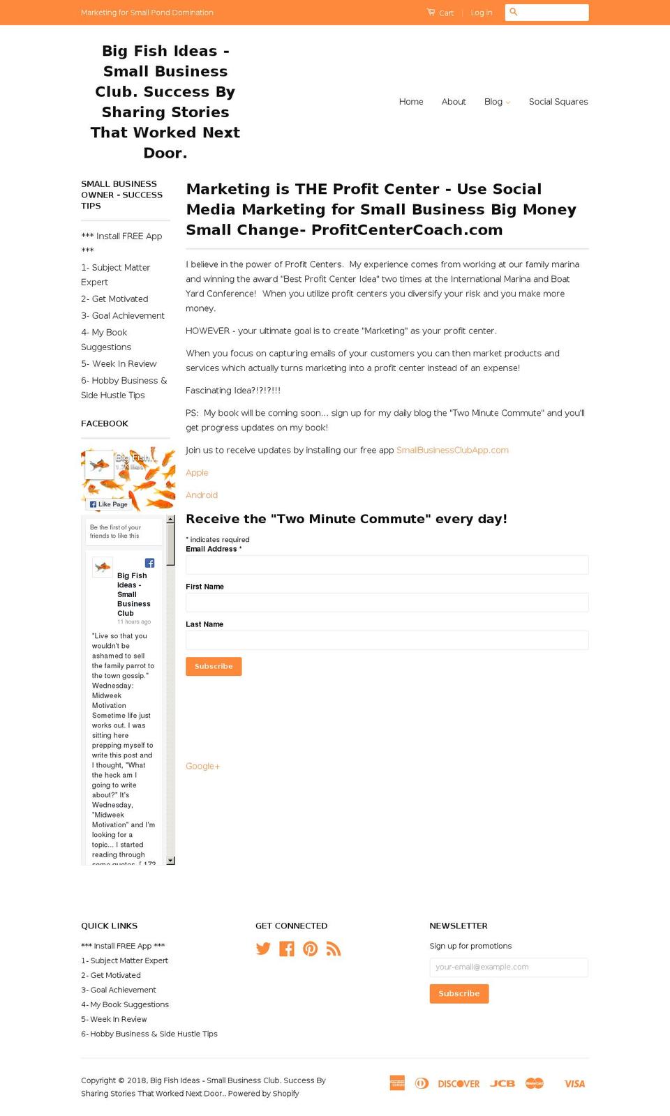 marketingistheprofitcenter.com — Shopify storefront screenshot