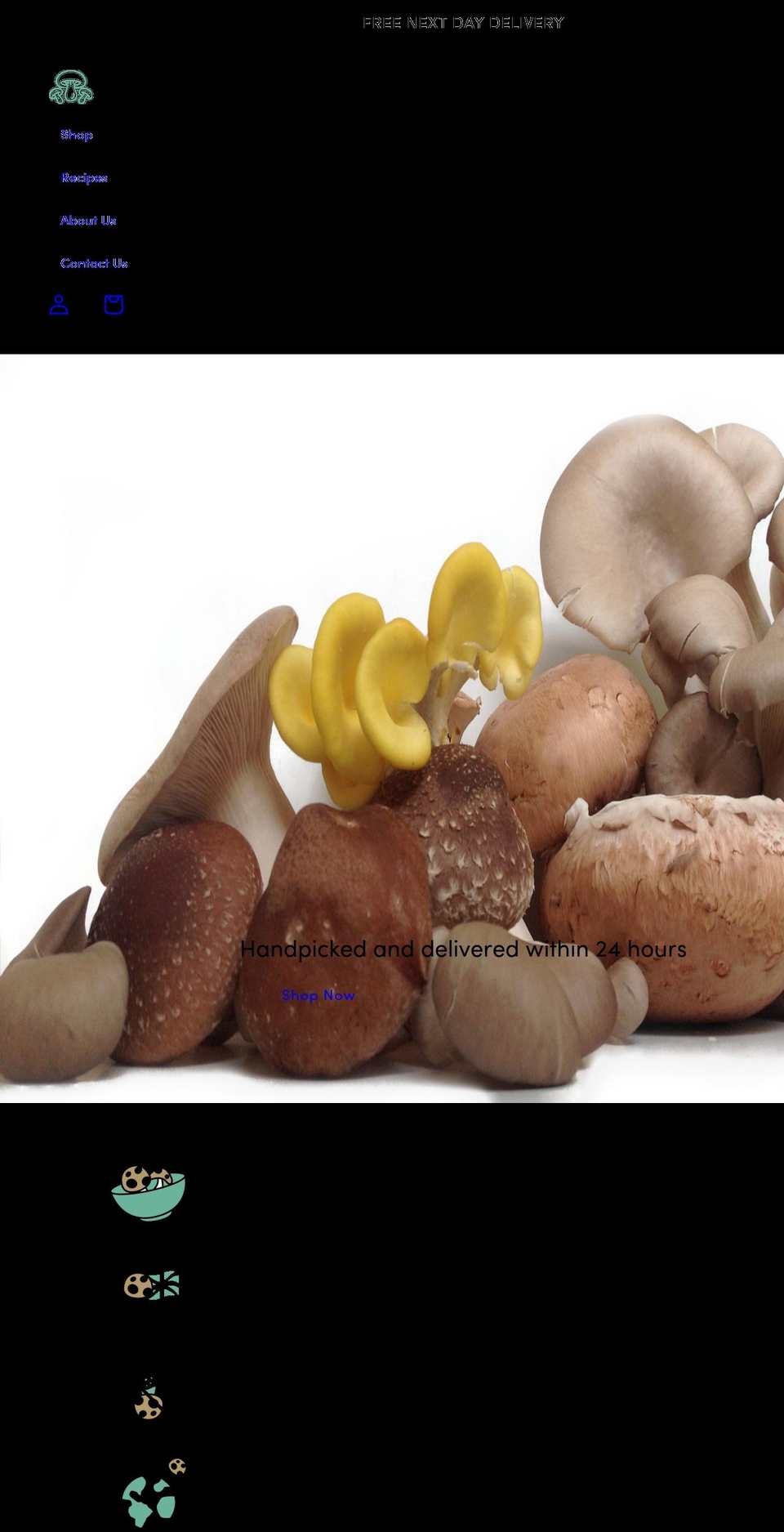 marvellousmushrooms.co.uk shopify website screenshot
