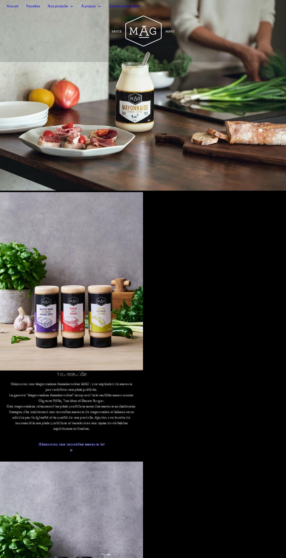 mayonnaisemag.com shopify website screenshot