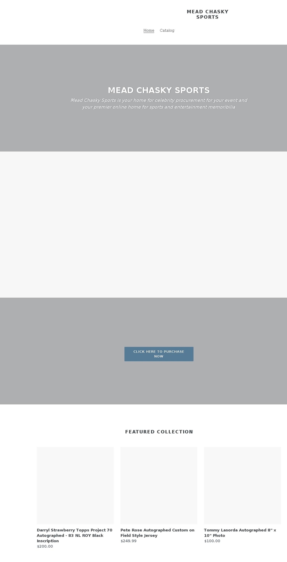 meadchaskysports.net shopify website screenshot