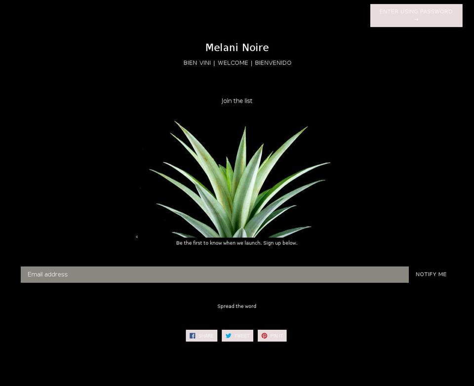 melaninoire.com — Shopify storefront screenshot