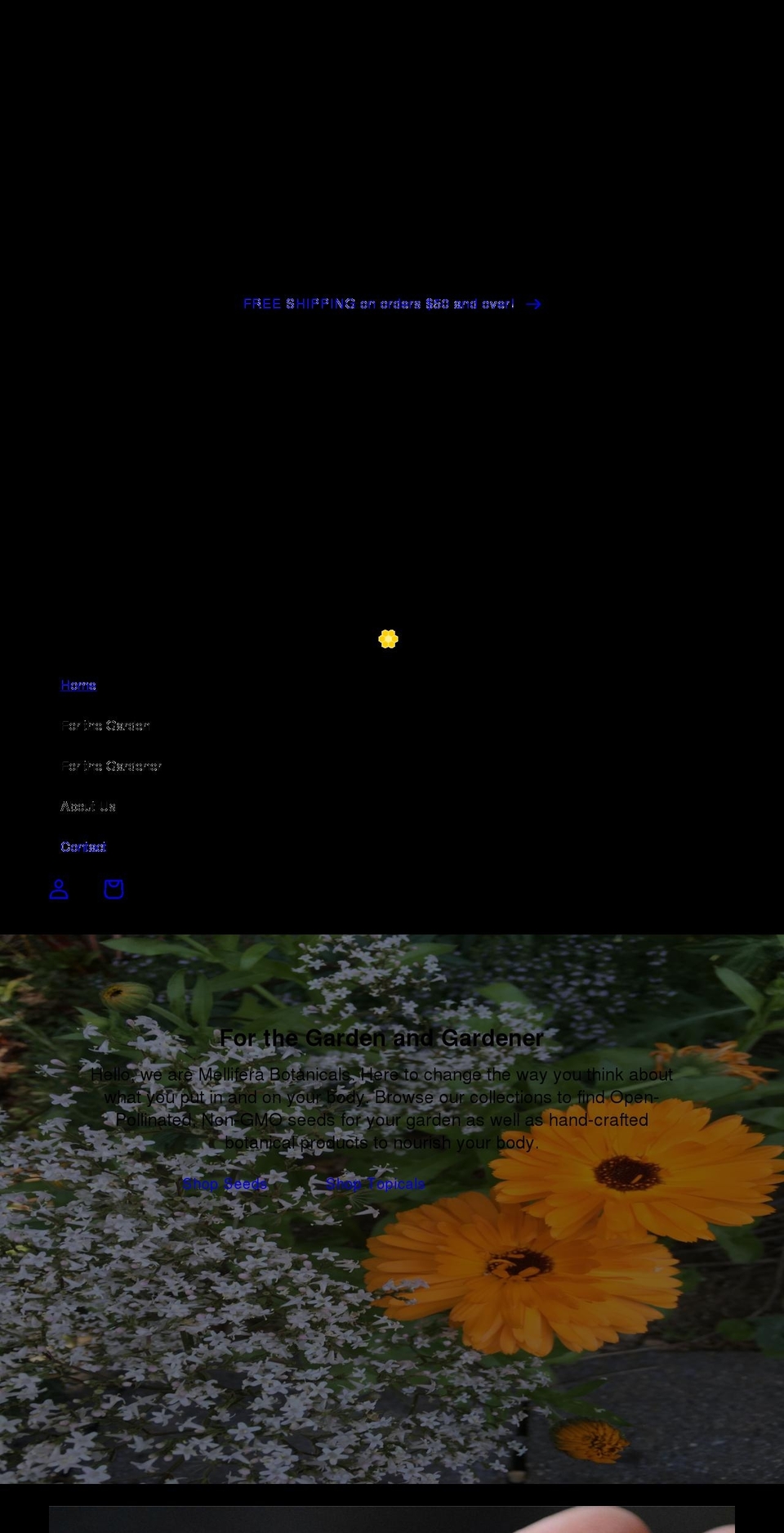 melliferabotanicals.com shopify website screenshot