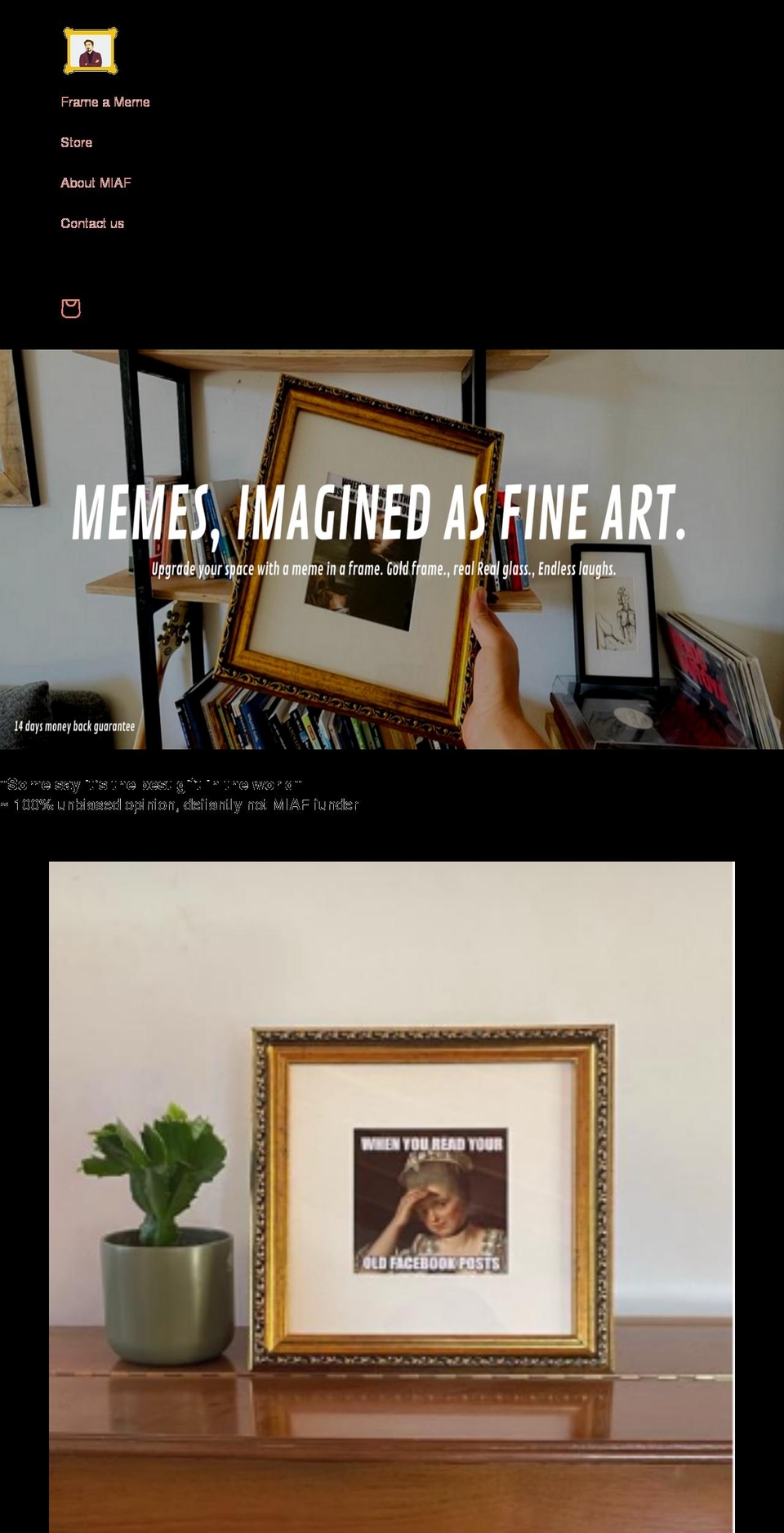 memeinaframe.com shopify website screenshot