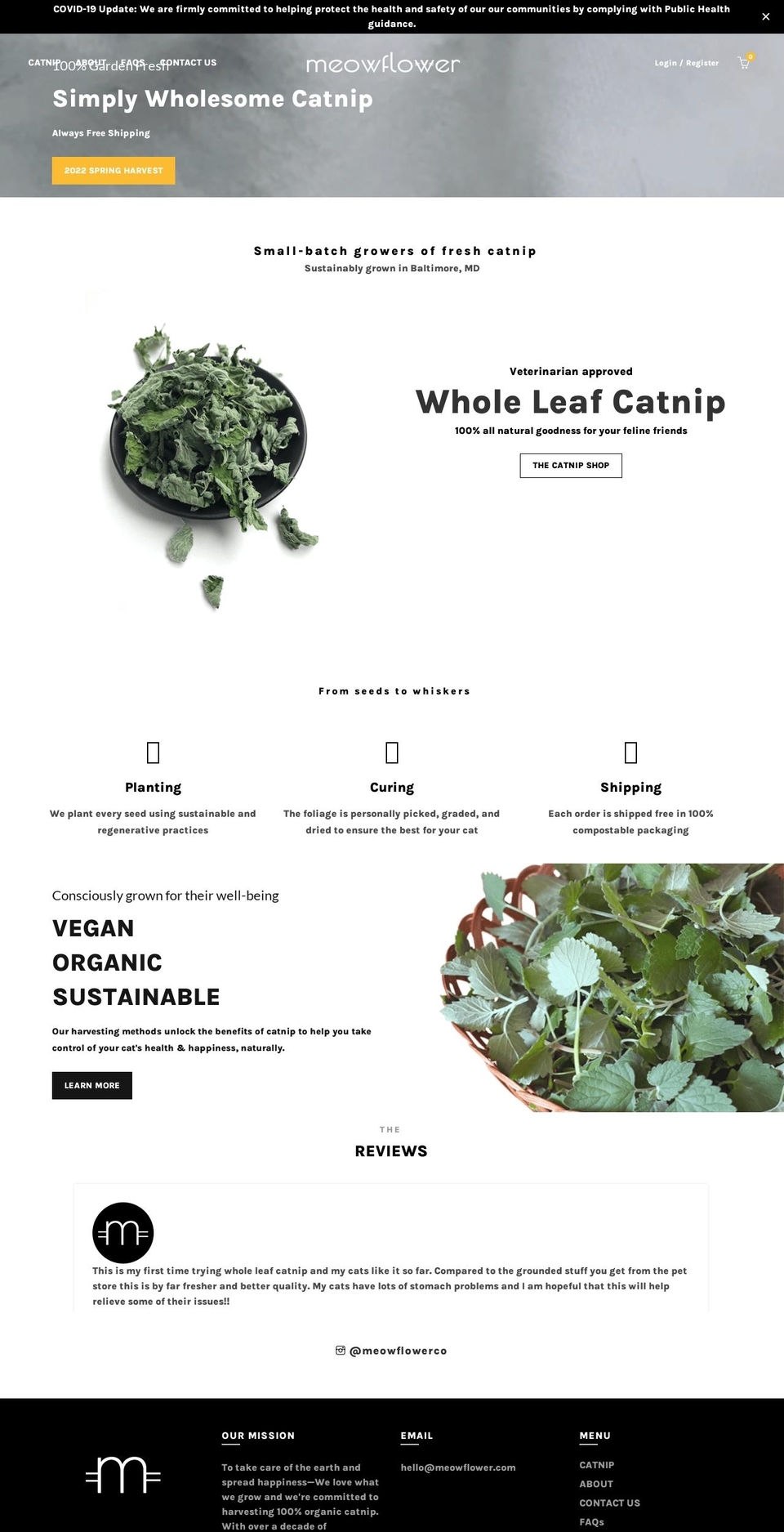 meowflower.com shopify website screenshot