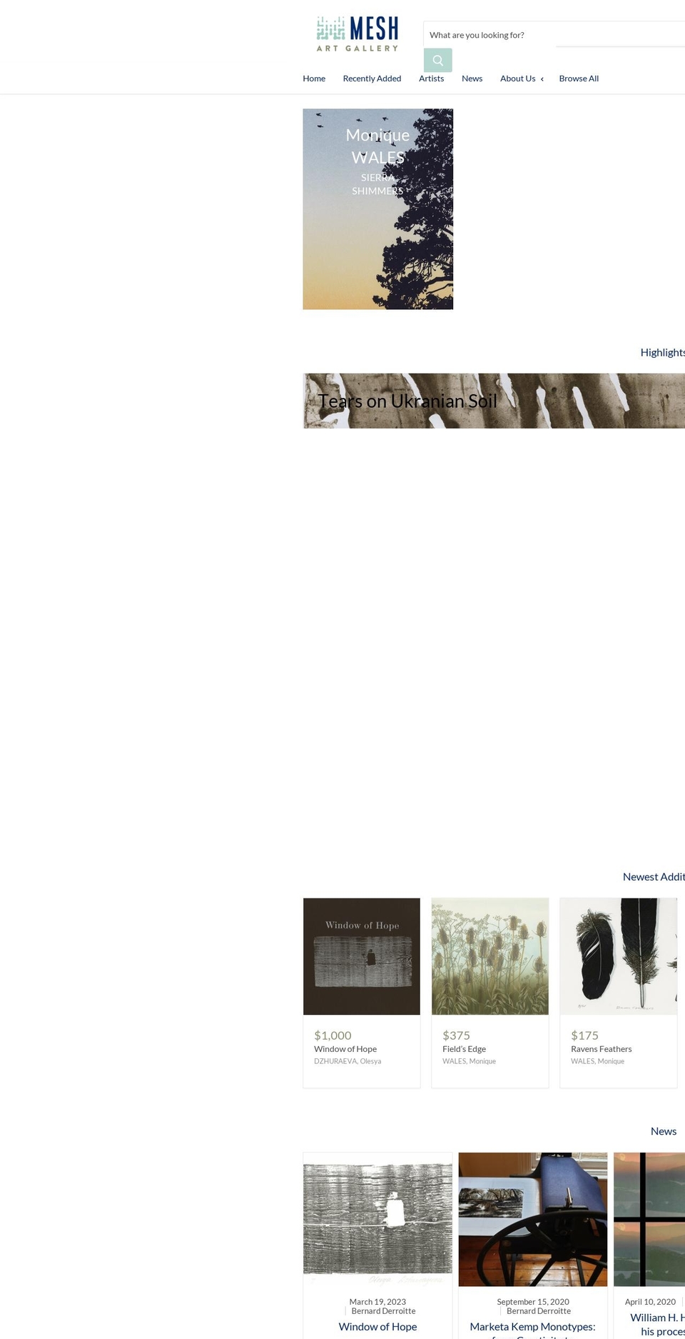 meshartgallery.com shopify website screenshot