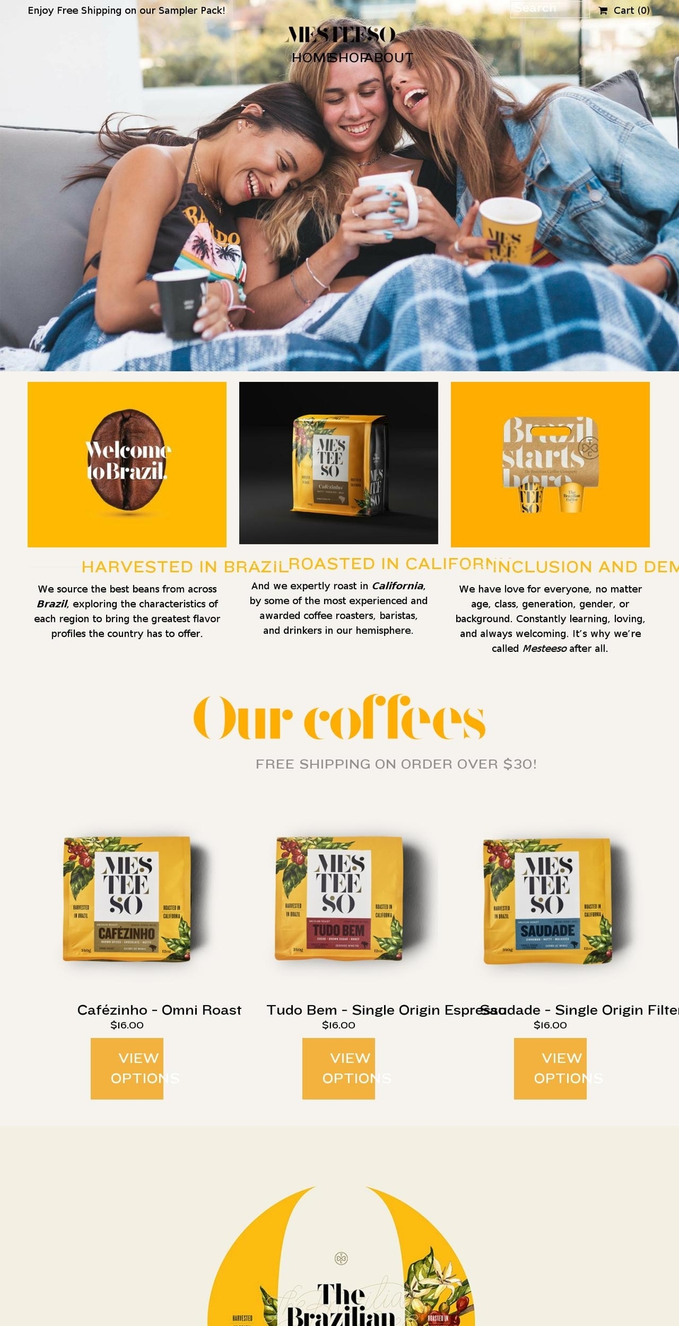 mesteeso.com — Shopify storefront screenshot