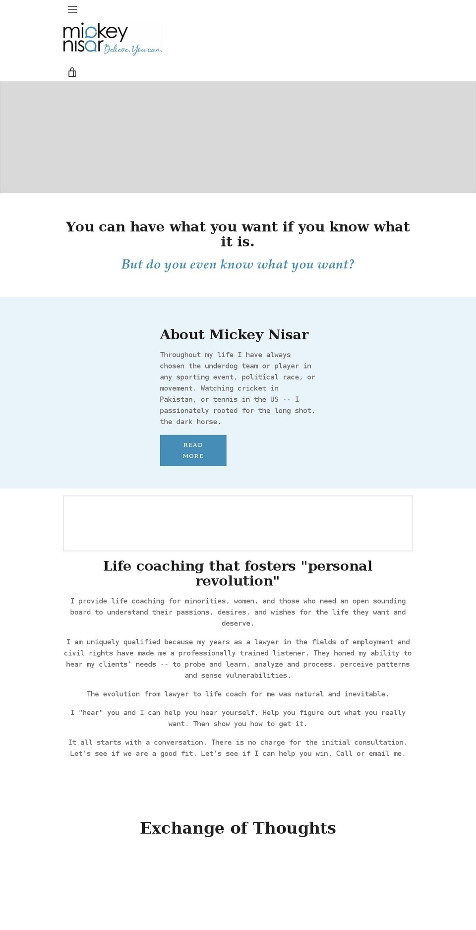 mickeynisar.com shopify website screenshot