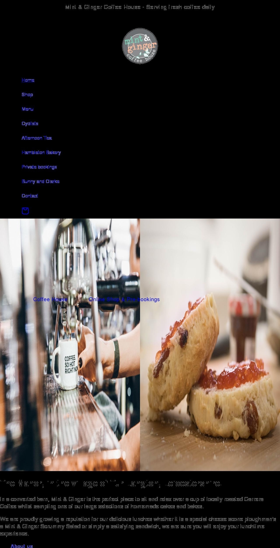mintandginger.co.uk shopify website screenshot