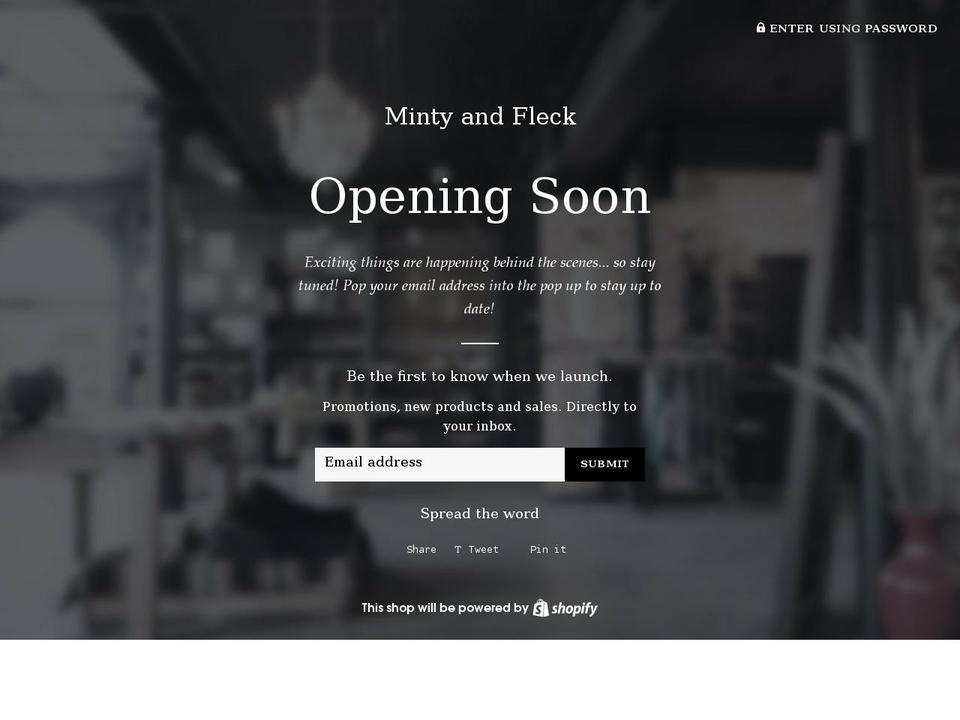 mintyandfleck.com shopify website screenshot