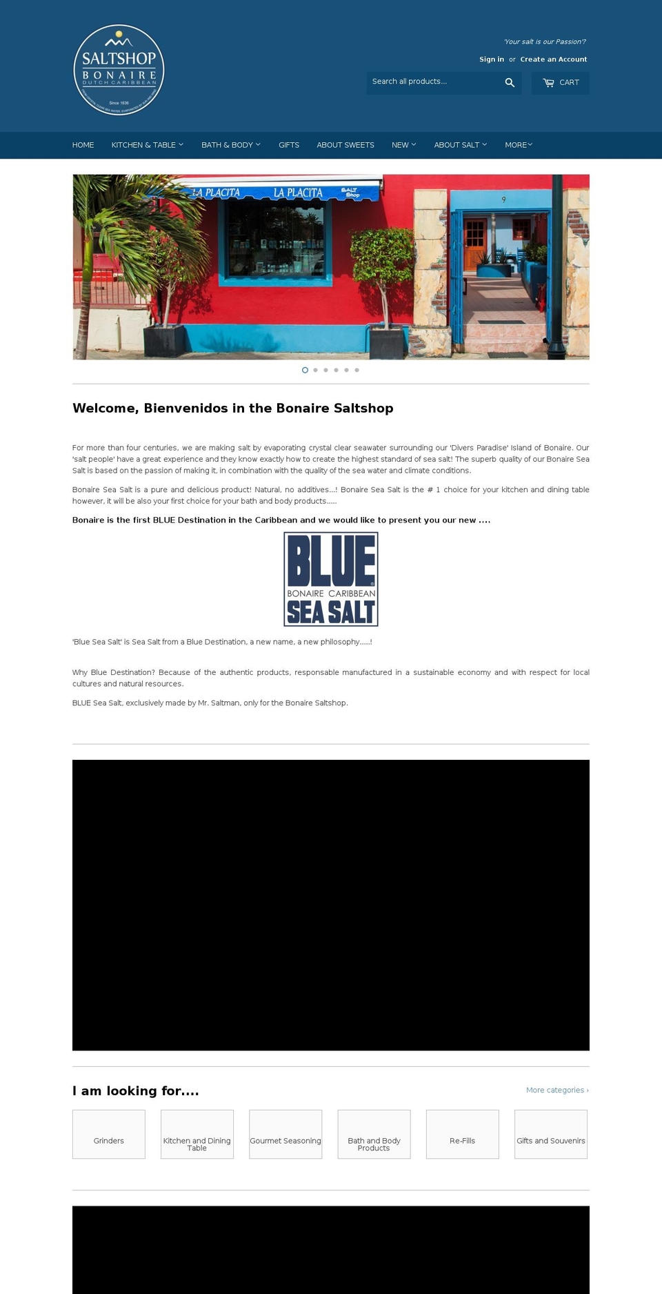 mistersaltman.com — Shopify storefront screenshot