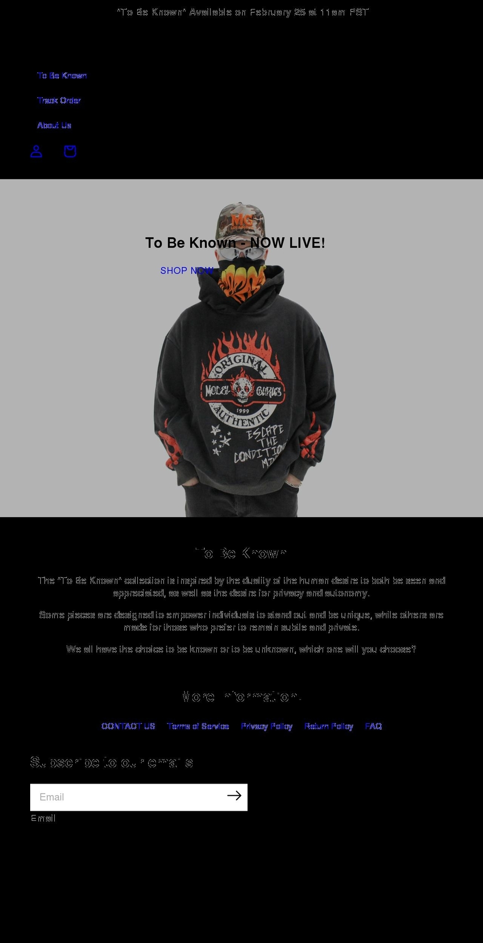 modelgurus.com — Shopify storefront screenshot