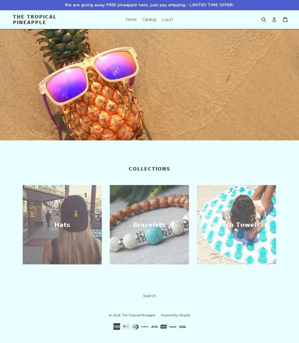 modernminimalists.com shopify website screenshot