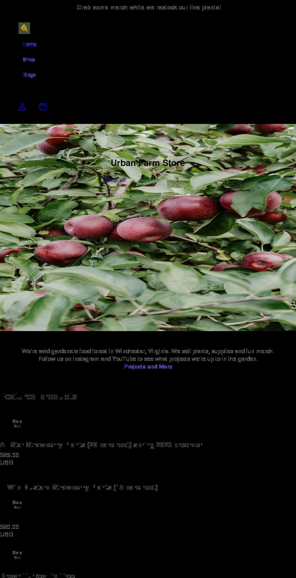 modernmustard.com shopify website screenshot