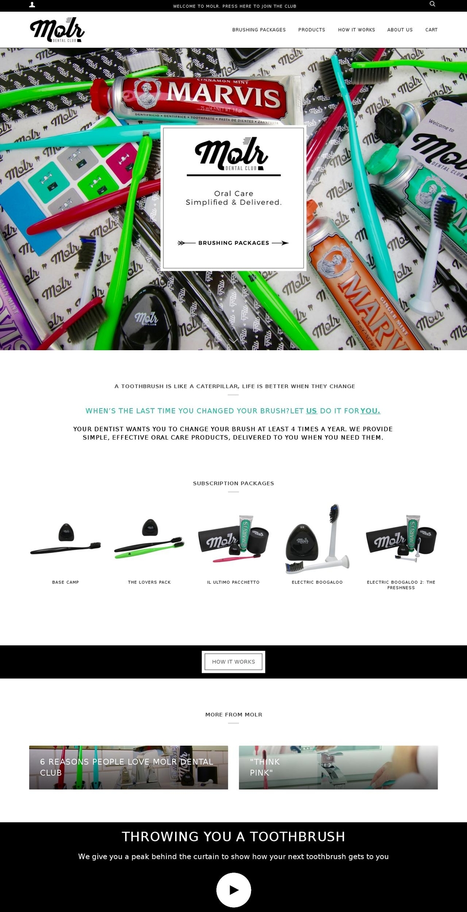 molr.co shopify website screenshot