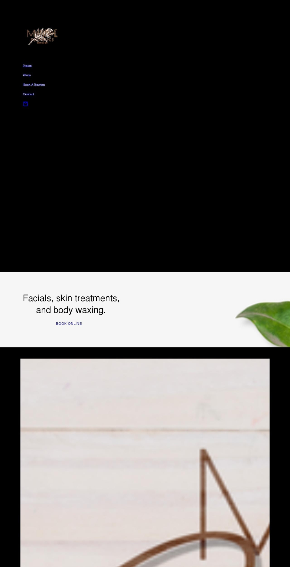 monroeesthetics.com shopify website screenshot