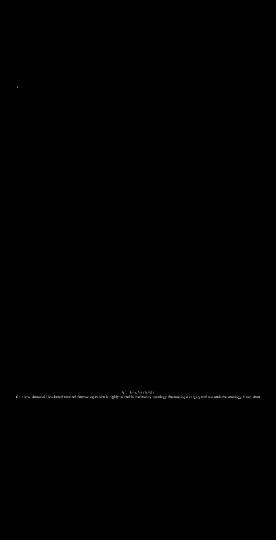 montalvandermatology.com shopify website screenshot