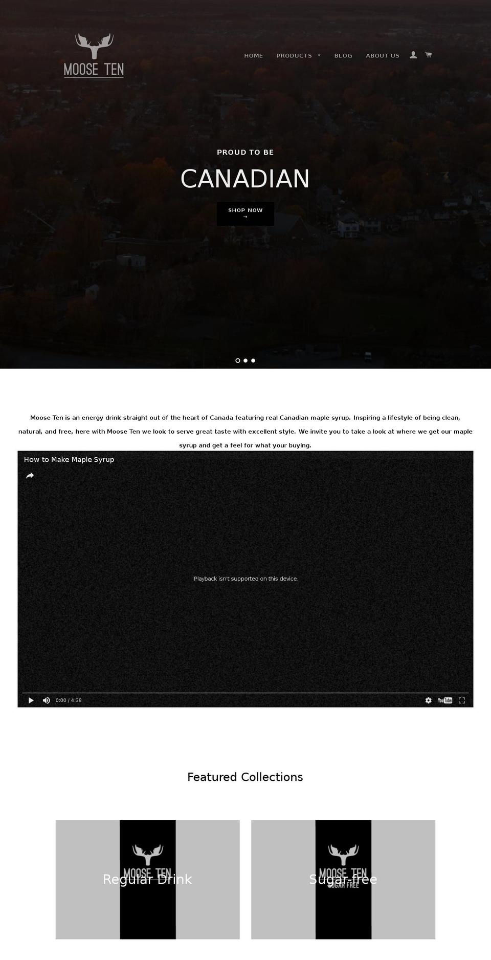 mooseten.com shopify website screenshot