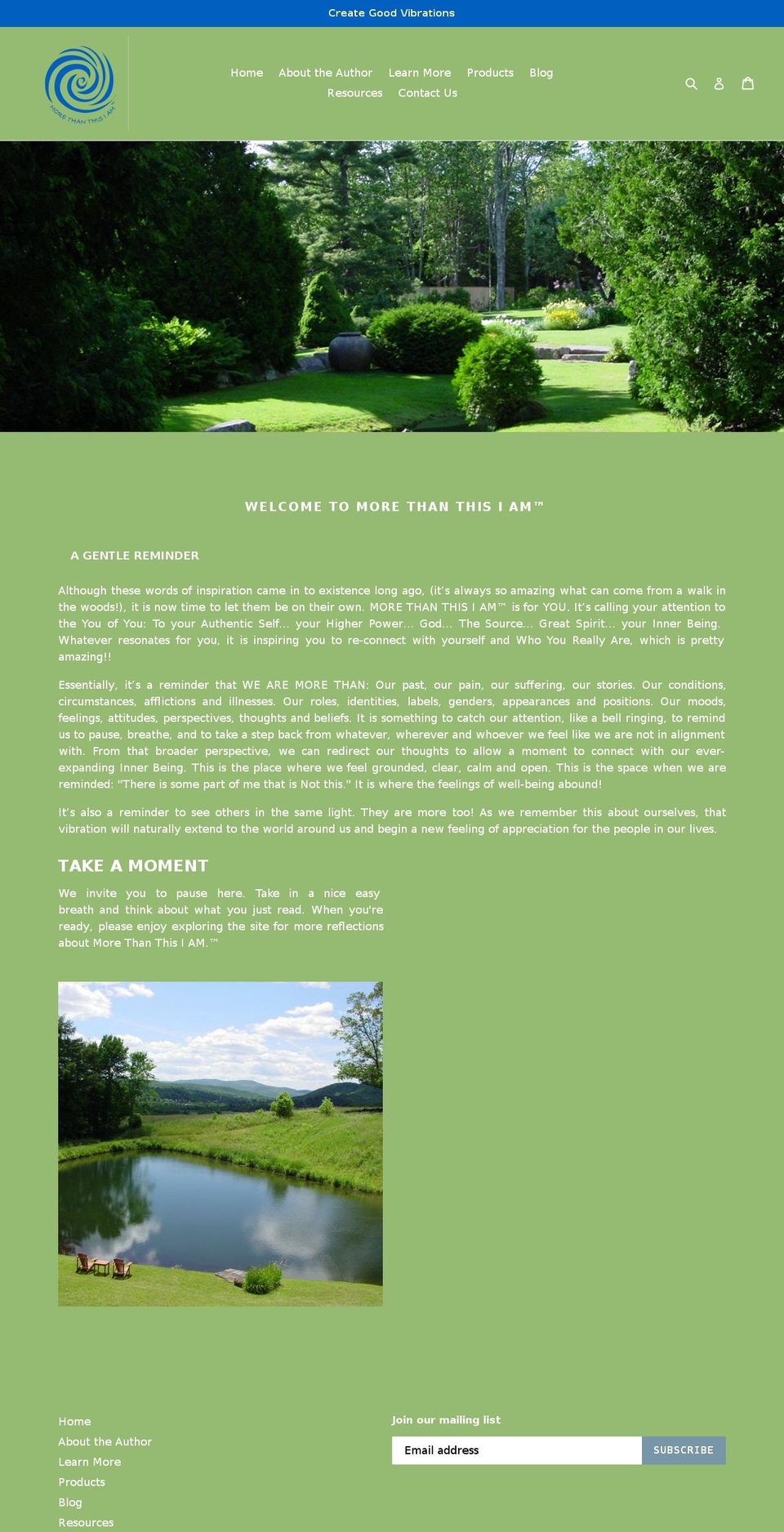 morethanthisiam.com — Shopify storefront screenshot