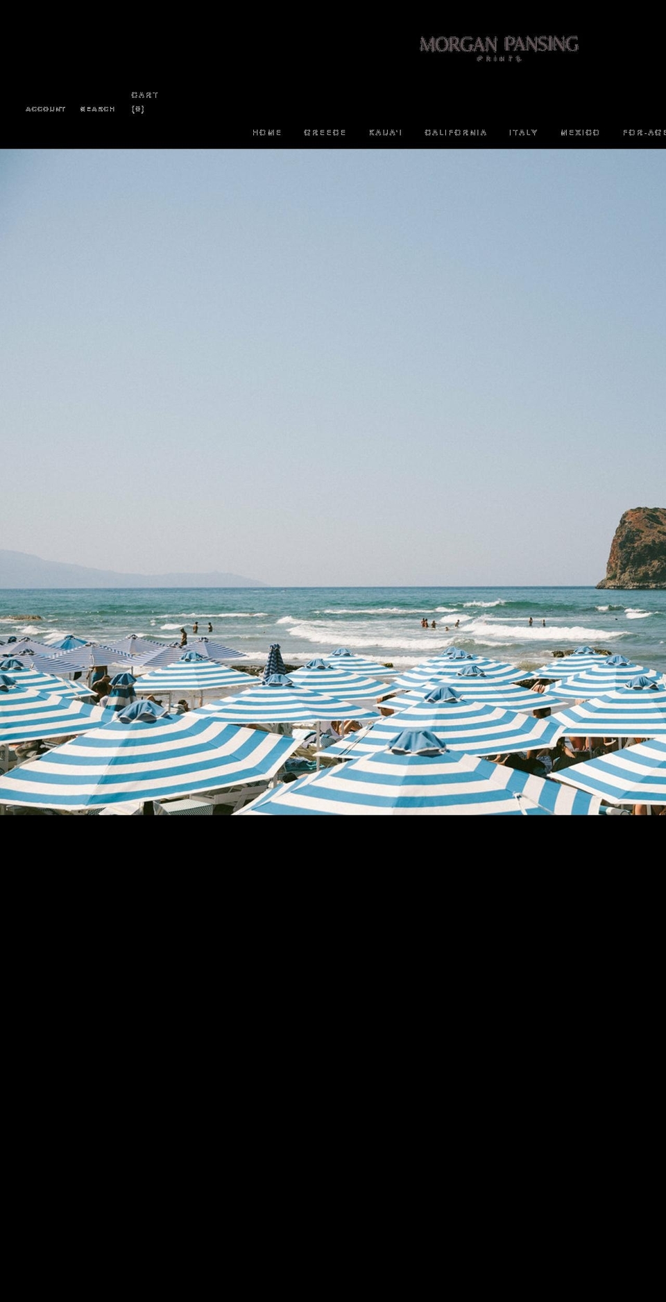 morganpansingprints.com shopify website screenshot