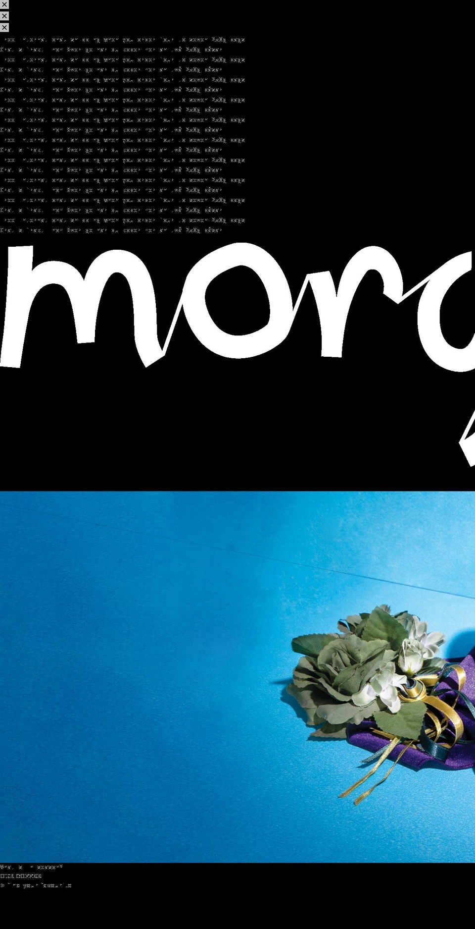 morgoncoffeeroasters.com — Shopify storefront screenshot