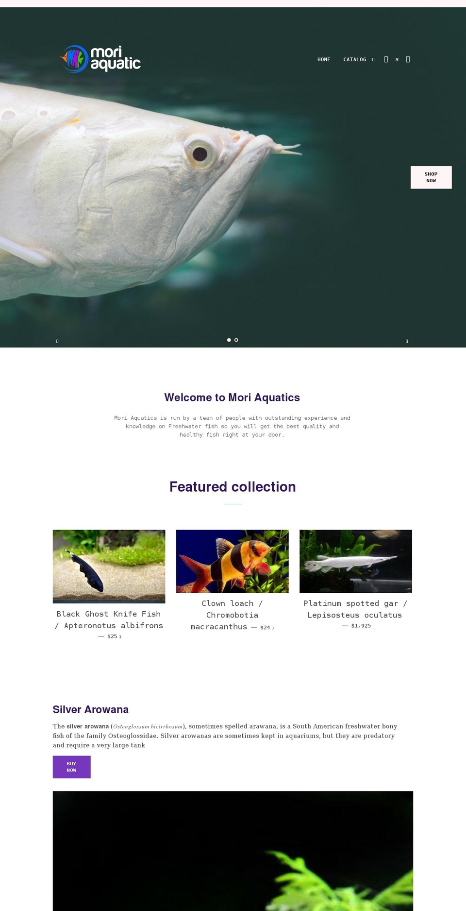 moriaquatics.com shopify website screenshot
