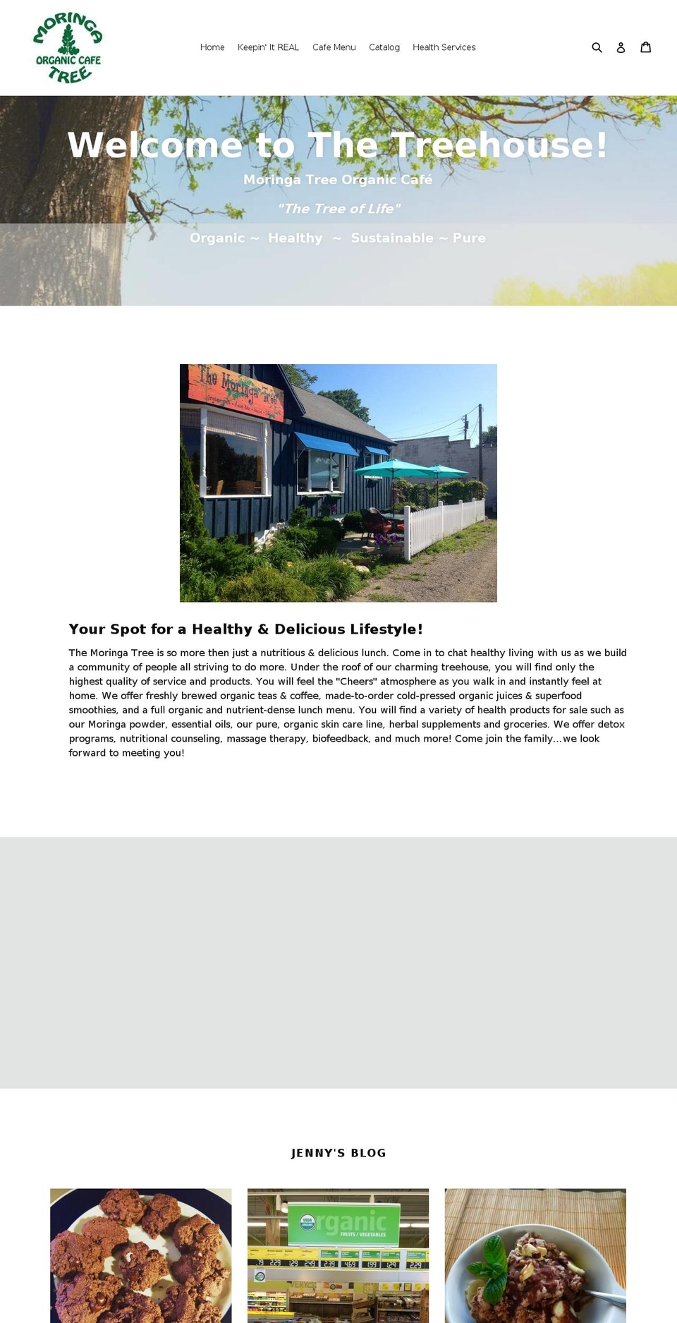 moringatreeorganic.com shopify website screenshot