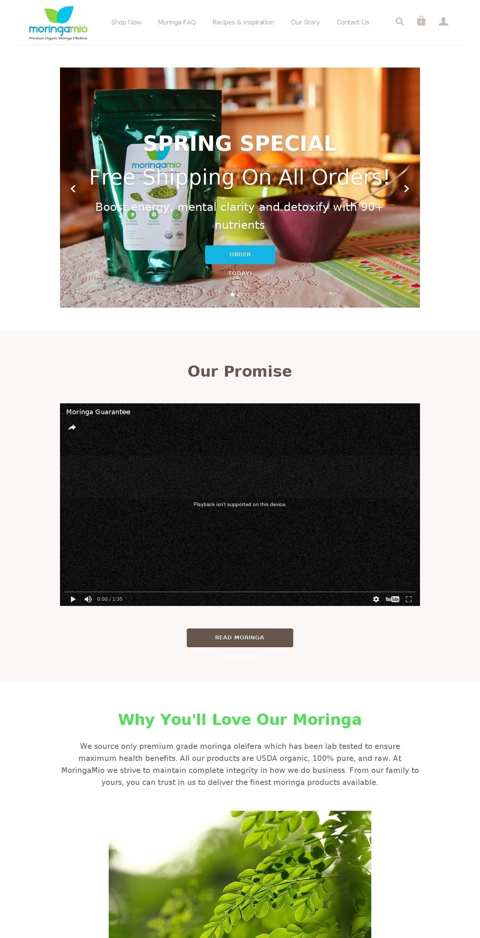 moringavita.com shopify website screenshot