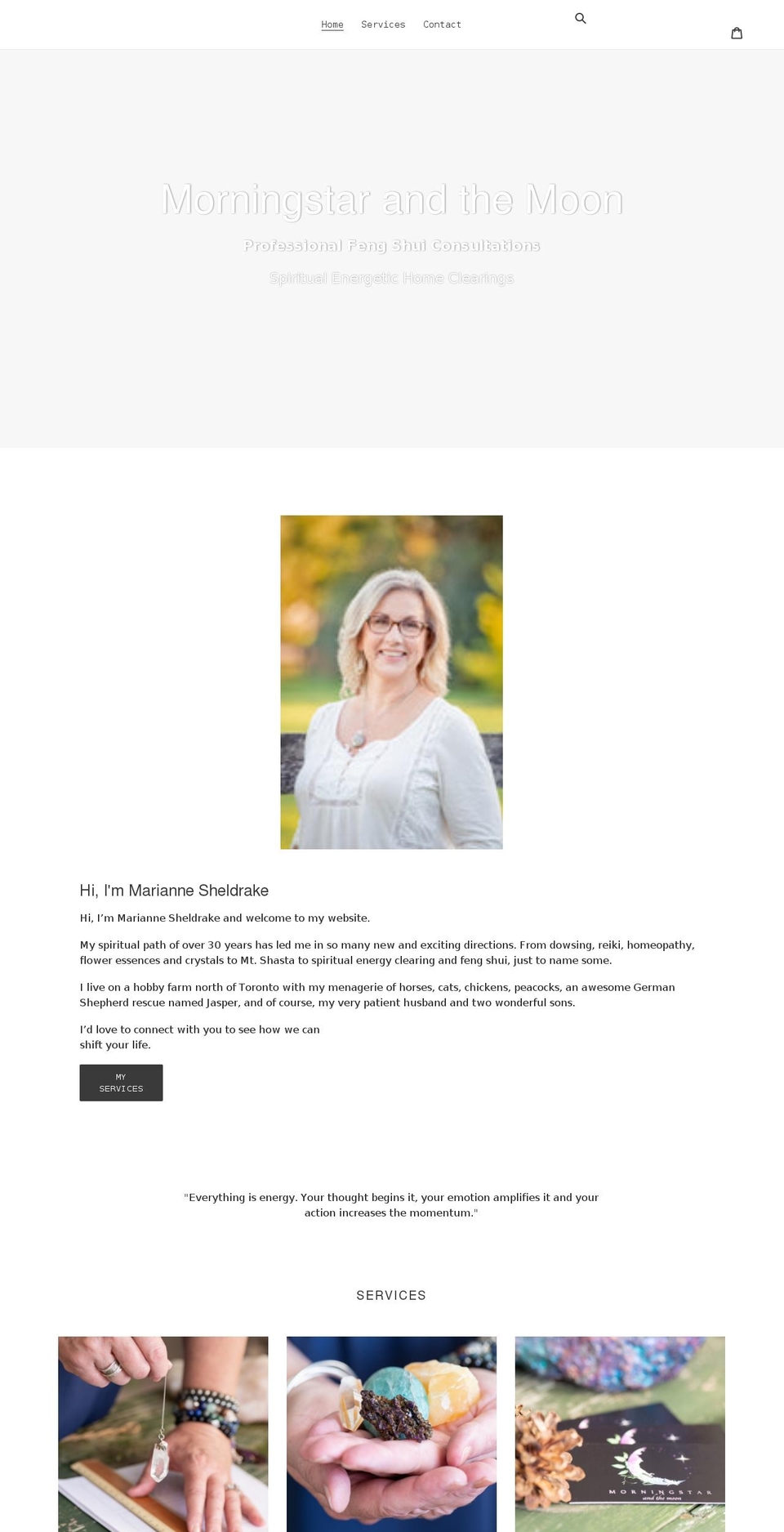 morningstar-and-the-moon.com shopify website screenshot