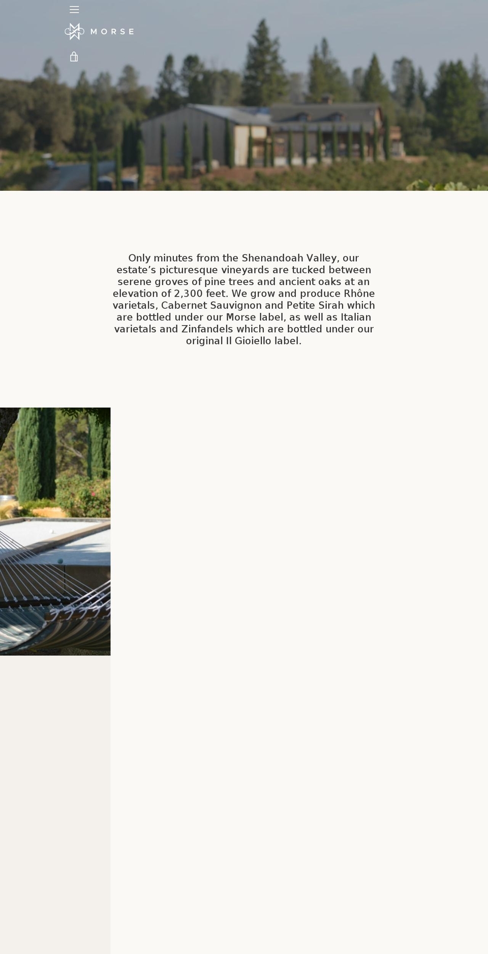 morsewines.com shopify website screenshot