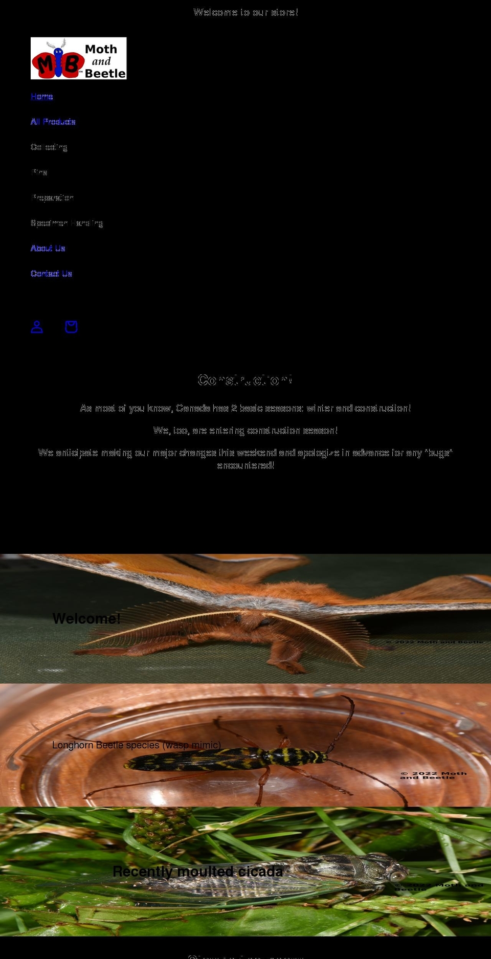 mothandbeetle.com shopify website screenshot