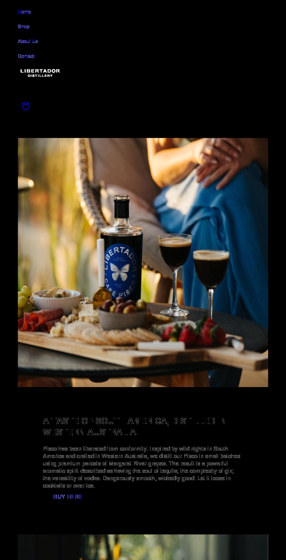 mrpisco.com.au shopify website screenshot