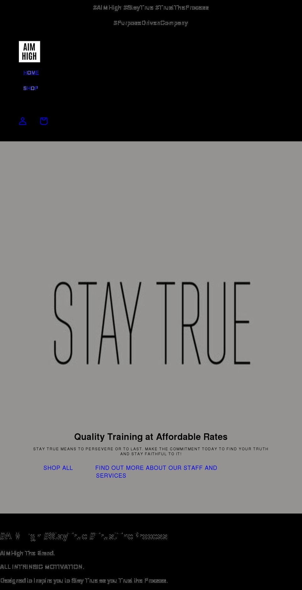 msaimhigh.com shopify website screenshot