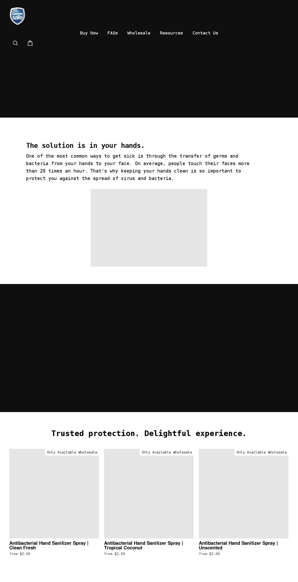 msgermsafe.com shopify website screenshot