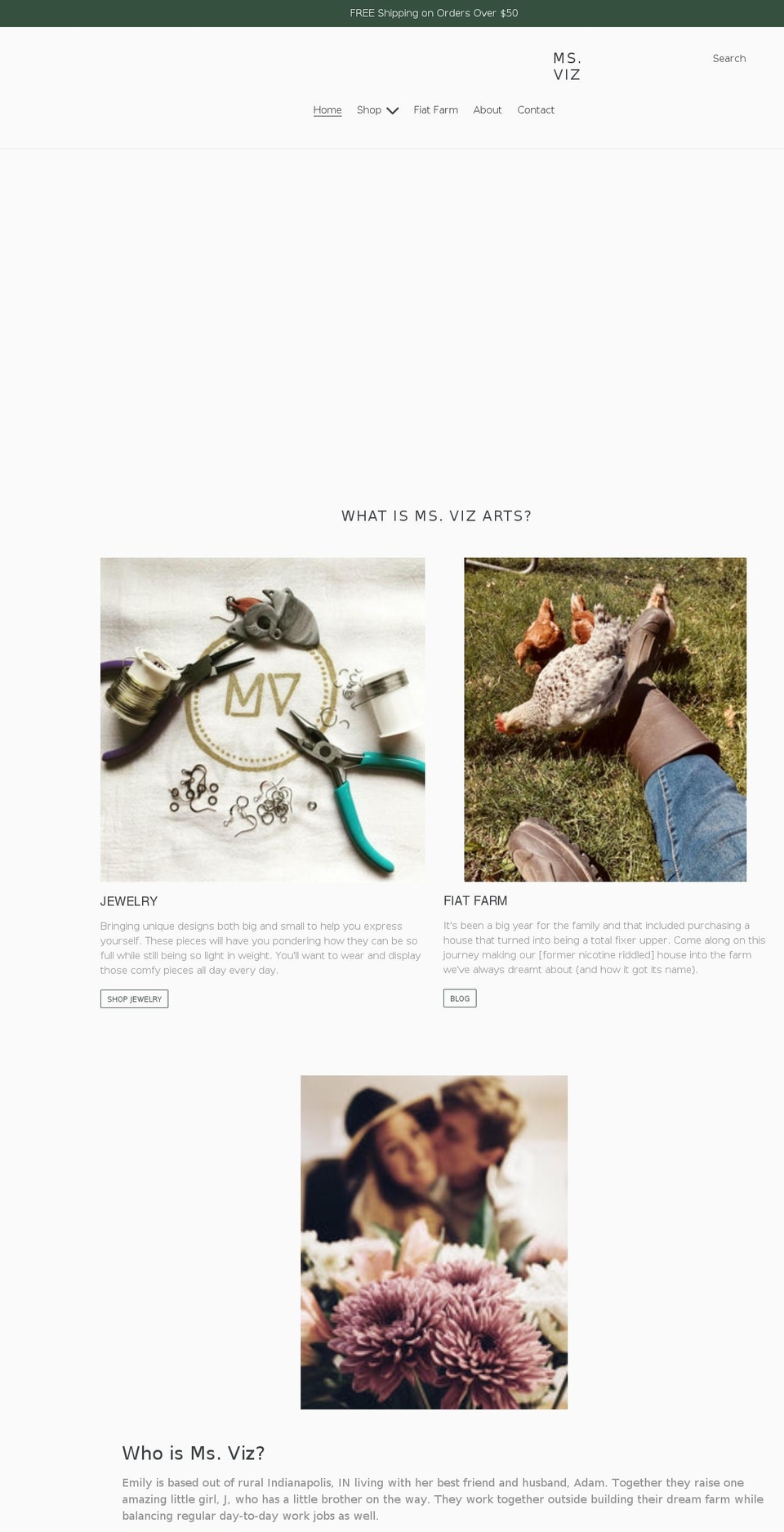msvizarts.com shopify website screenshot