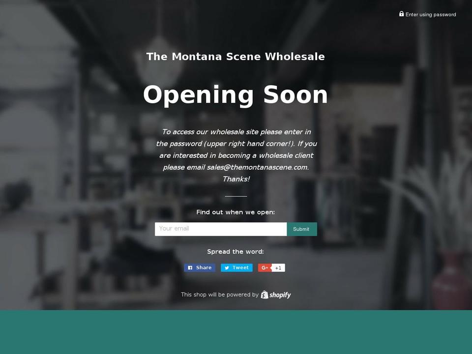 mtscenewholesale.com shopify website screenshot