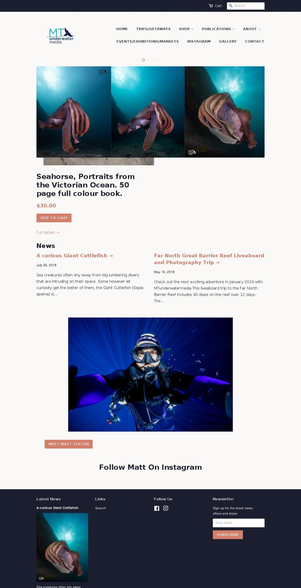 mtunderwatermedia.com shopify website screenshot