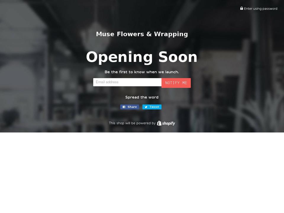 museonlineshop.net shopify website screenshot