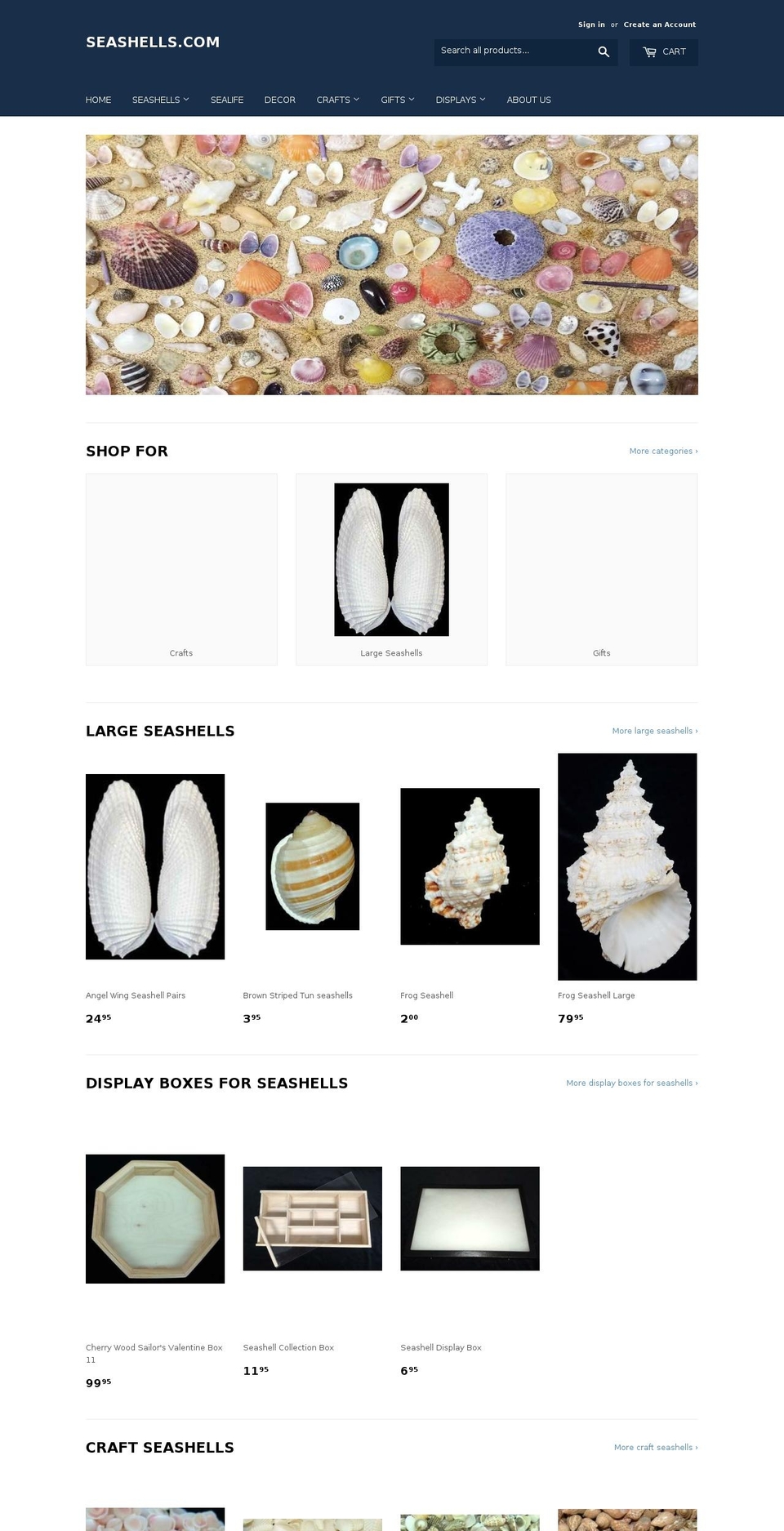 museumseashells.com — Shopify storefront screenshot