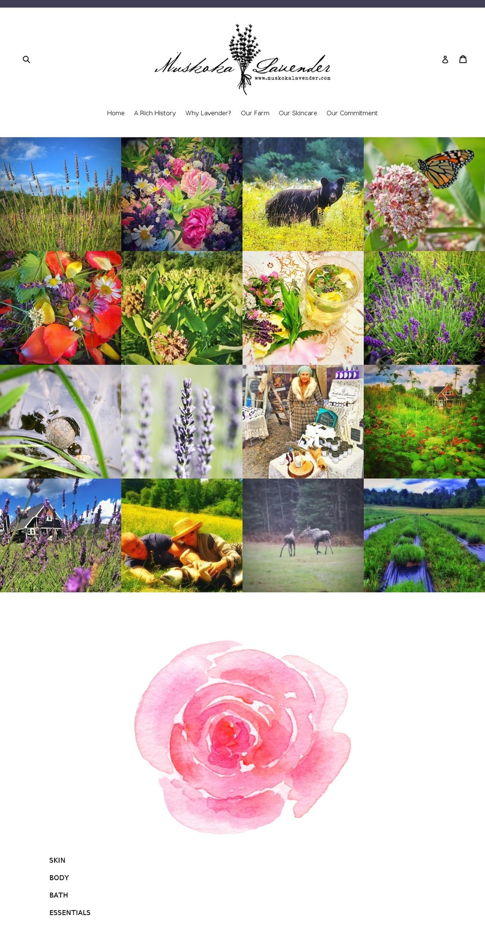 muskokalavender.com shopify website screenshot