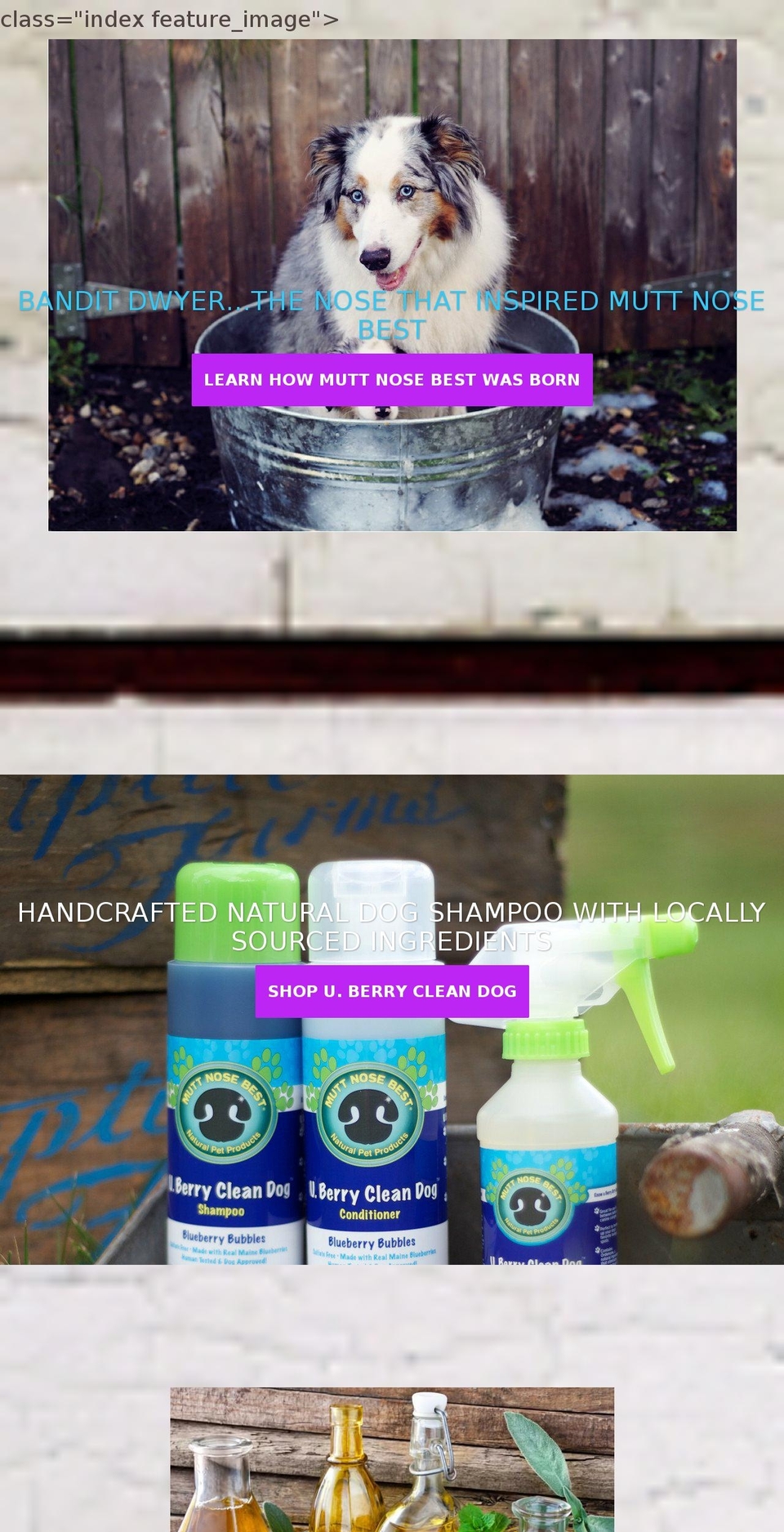 Copy of Parallax Shopify theme site example muttknowsbest.com