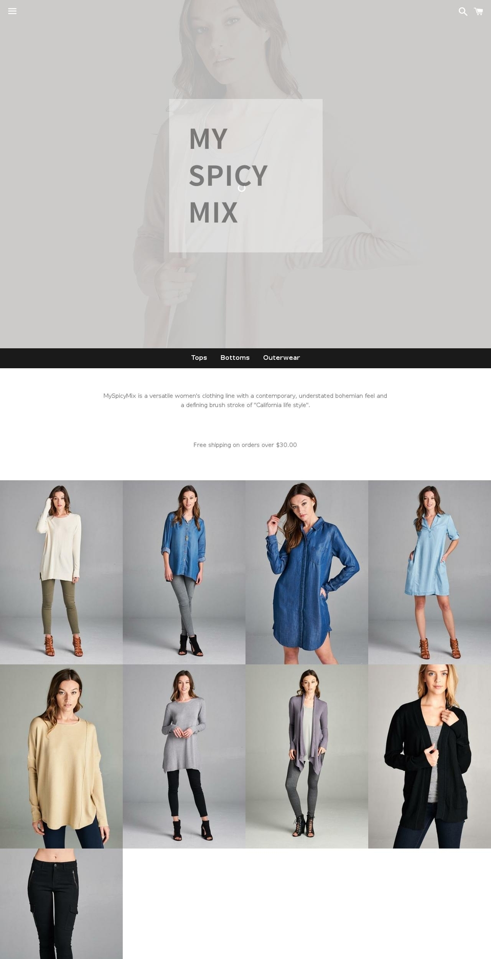 myspicymix.com shopify website screenshot