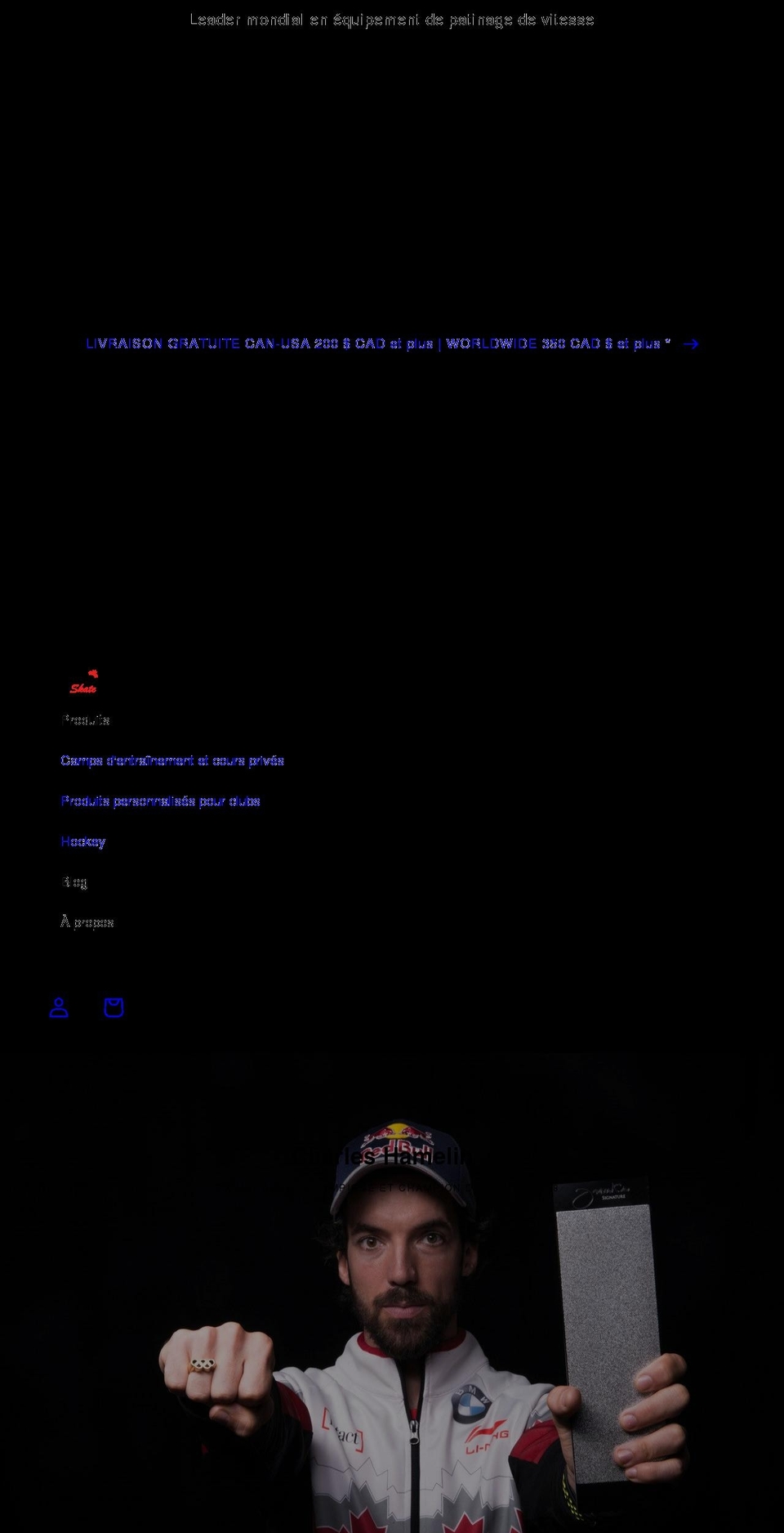 naganoskate.com shopify website screenshot