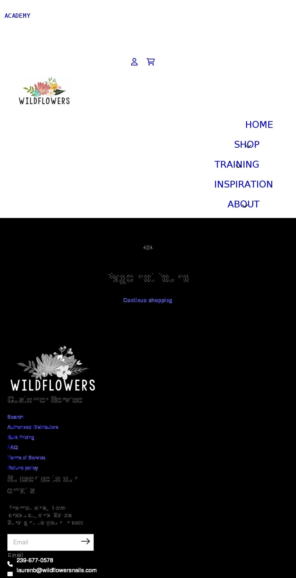 nailstudent.com — Shopify storefront screenshot