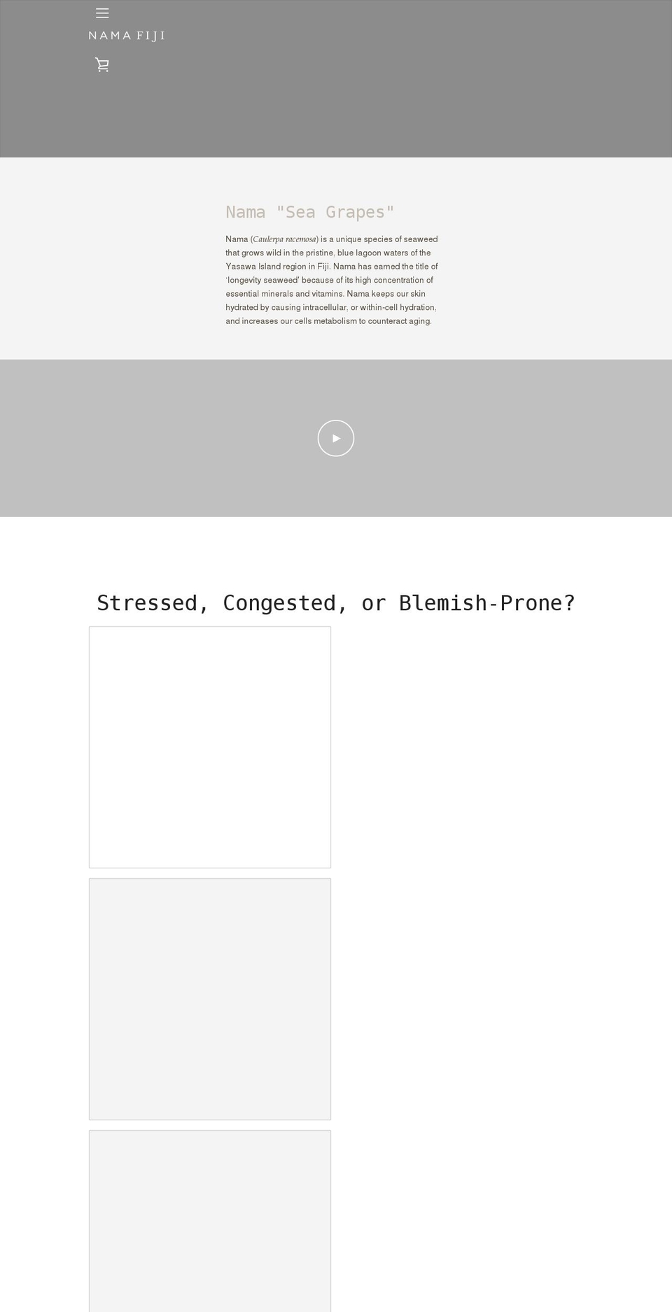 nama-fiji.com shopify website screenshot
