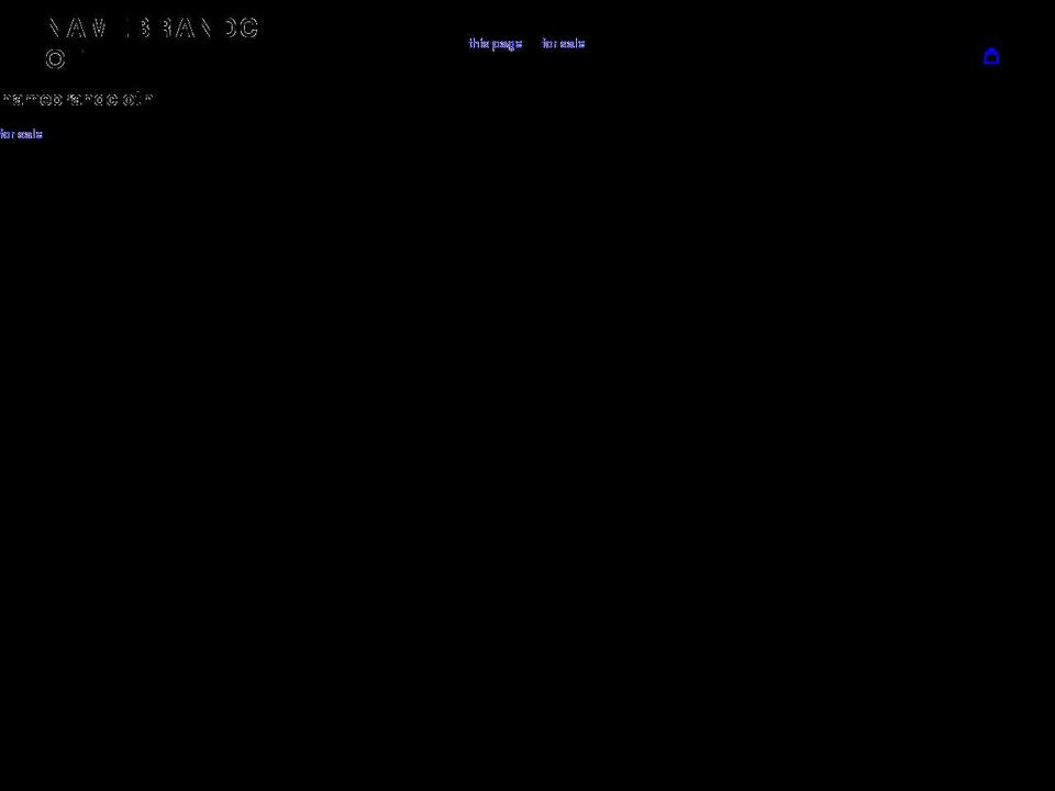 namebrandcloth.com shopify website screenshot