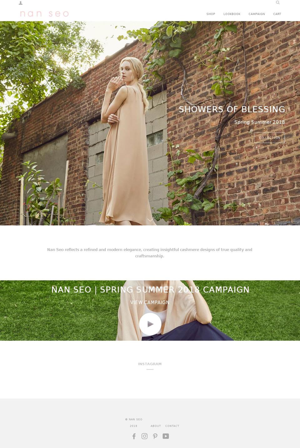 nan-seo.com shopify website screenshot