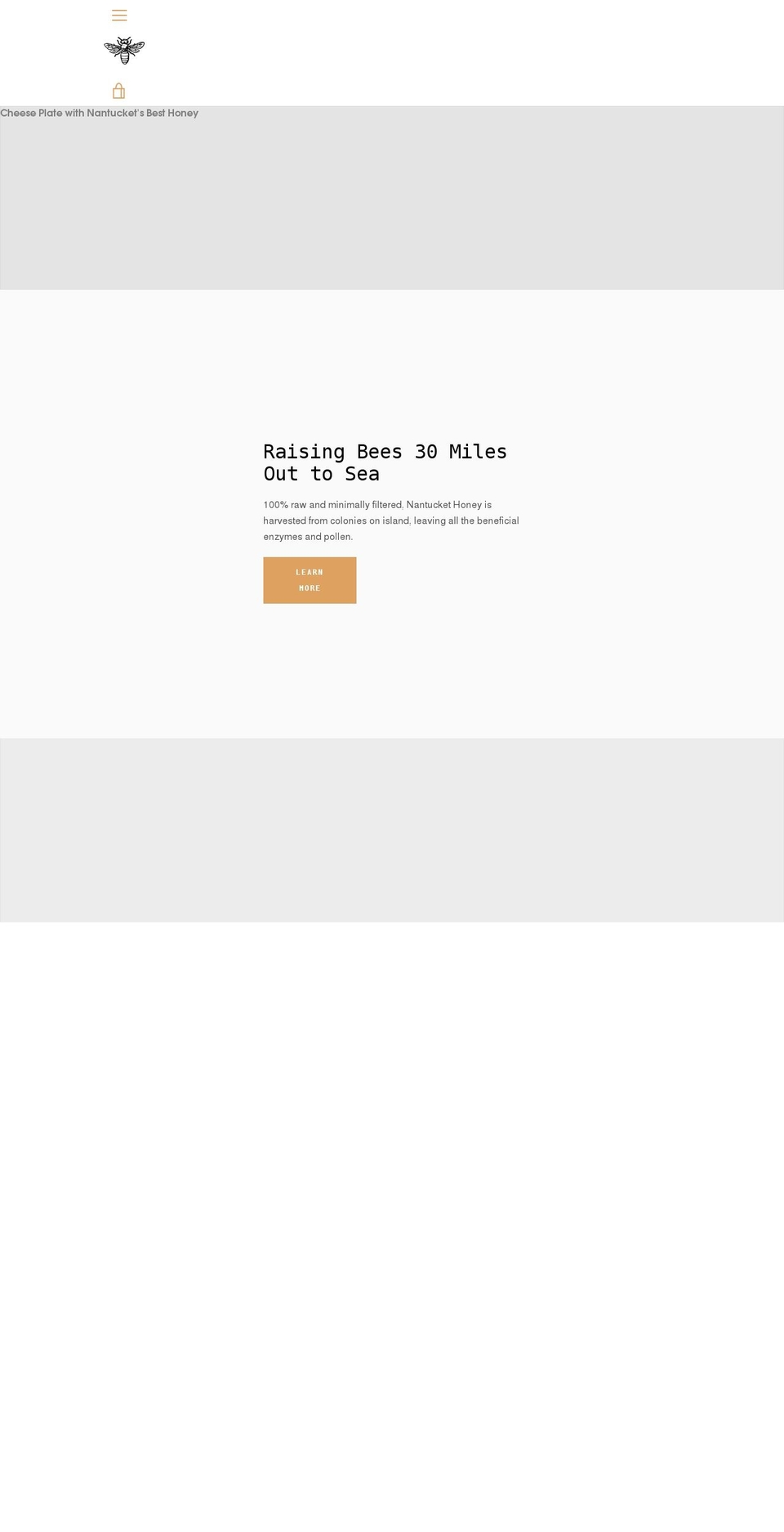 nantuckethoney.com shopify website screenshot
