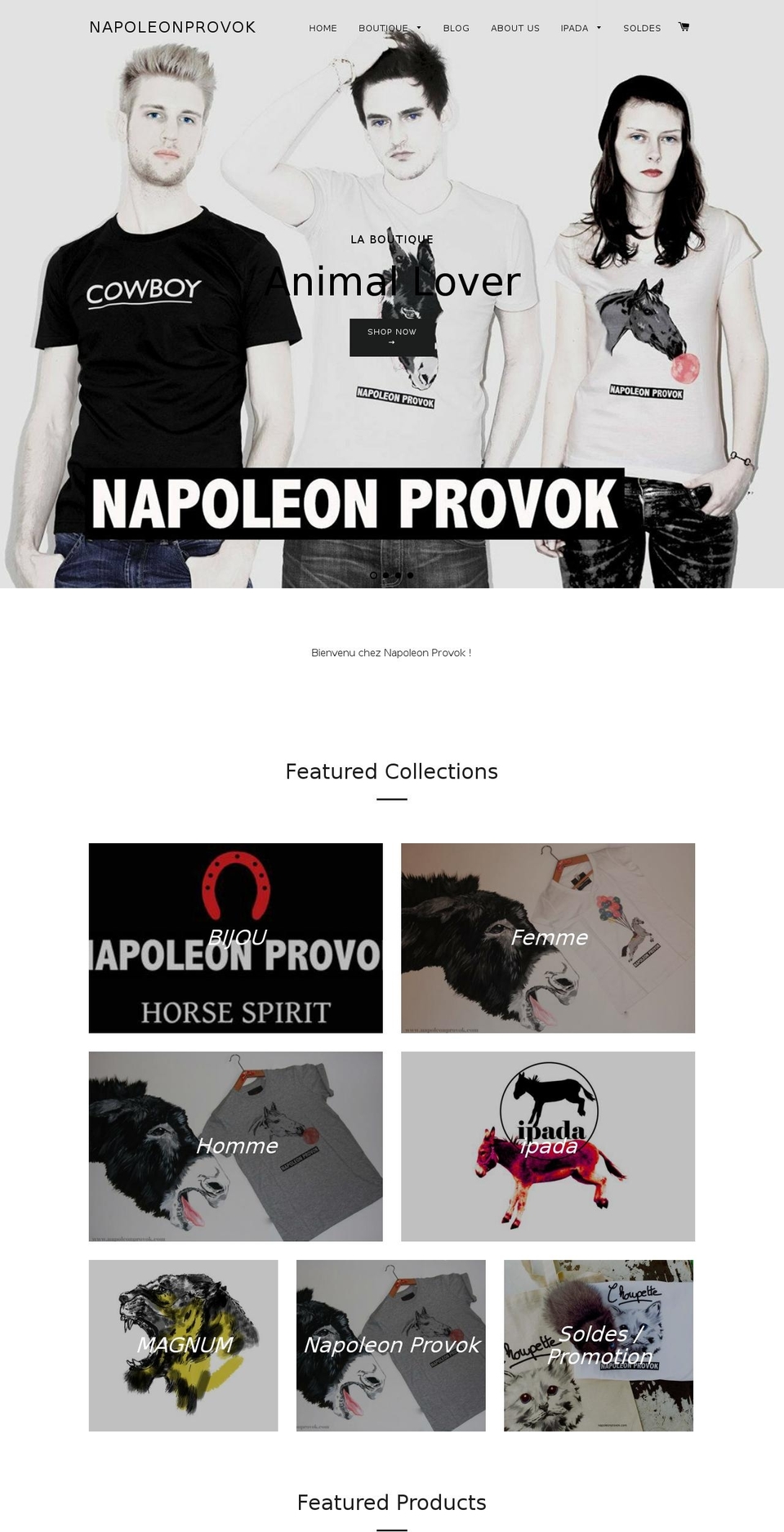 napoleonprovok.com shopify website screenshot
